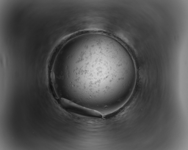 X0000088651408200705251452