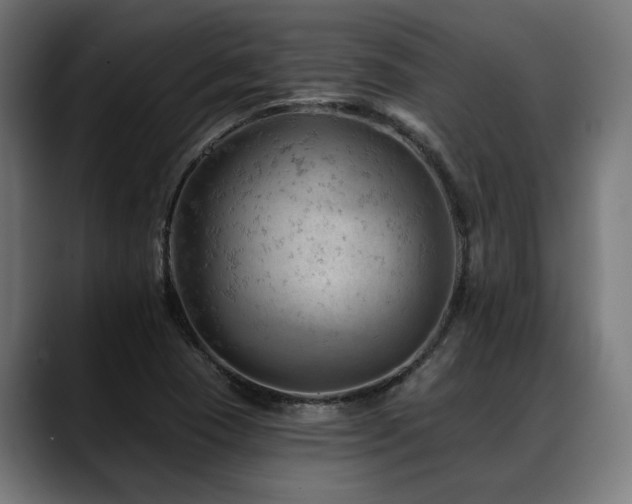 X0000088651409200705251452