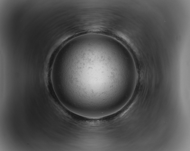 X0000088651410200705251452