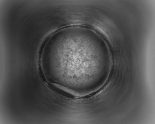 X0000088651411200705251452