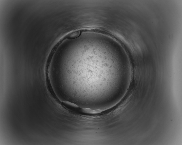 X0000088651412200705251452