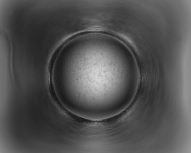 X0000088651414200705251452