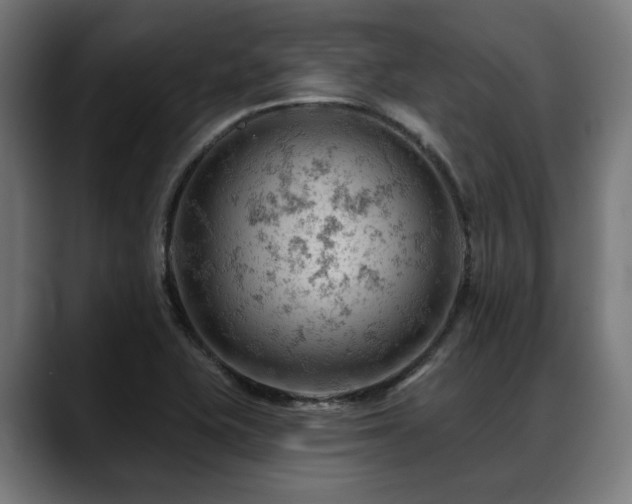 X0000088651415200705251452
