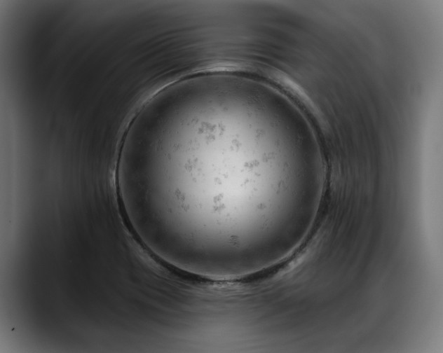 X0000088651417200705251452