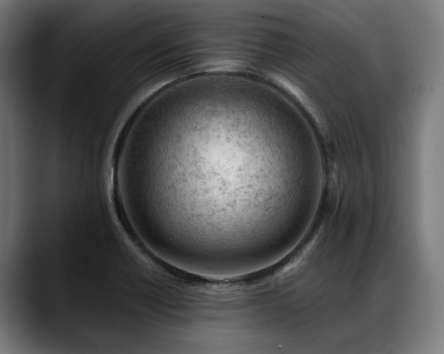 X0000088651418200705251452