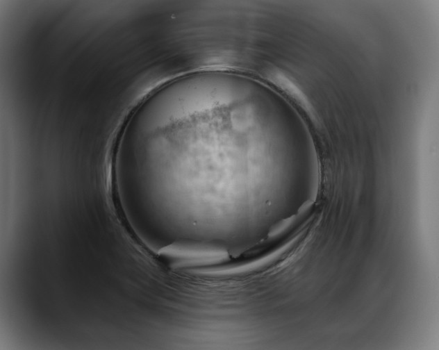 X0000088651419200705251452