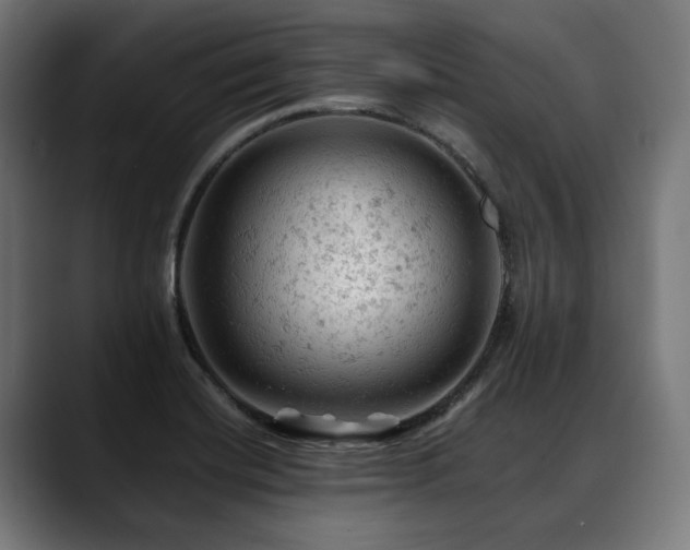 X0000088651420200705251452