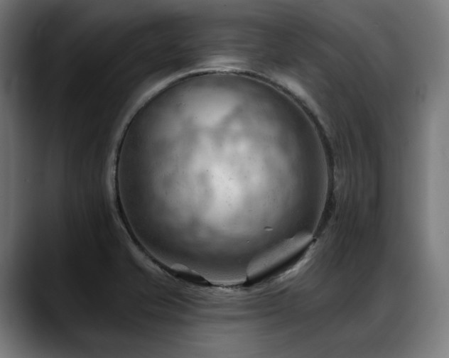 X0000088651421200705251452