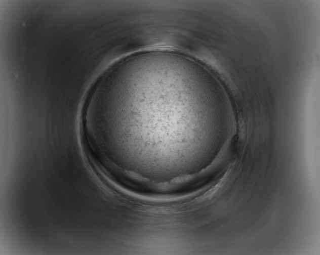X0000088651422200705251452