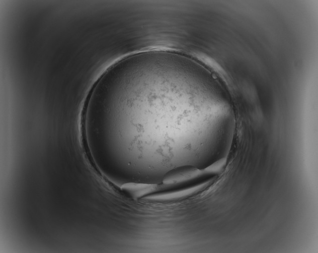 X0000088651423200705251452
