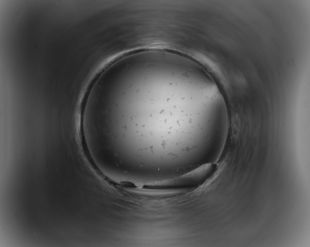 X0000088651424200705251452