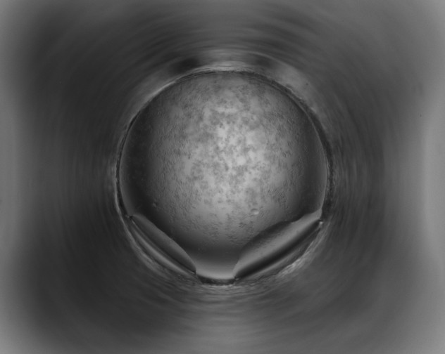 X0000088651425200705251452