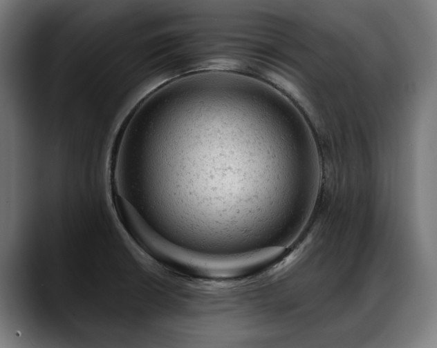 X0000088651426200705251452