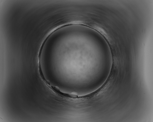 X0000088651428200705251452