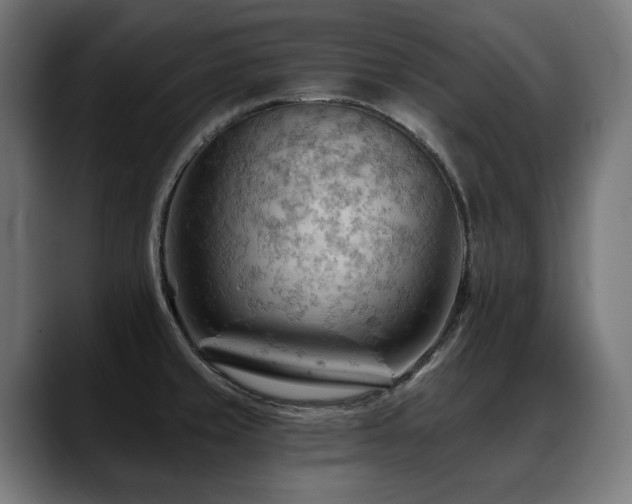X0000088651429200705251452
