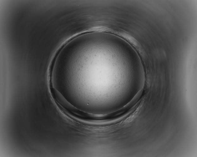X0000088651430200705251452