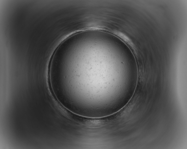 X0000088651431200705251452