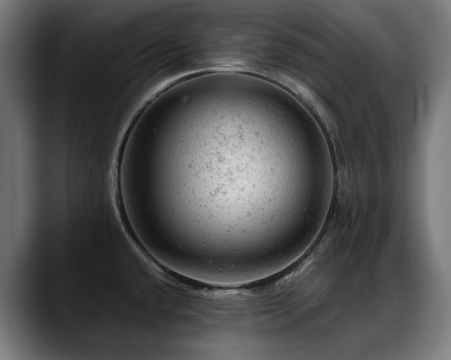 X0000088651432200705251452