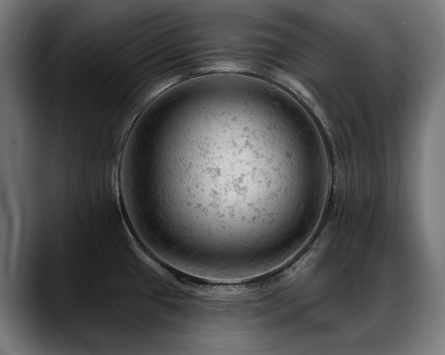 X0000088651433200705251452