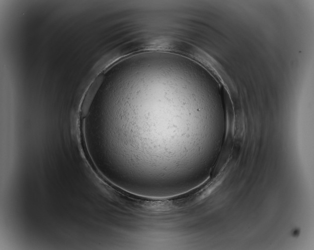 X0000088651434200705251452