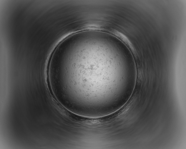 X0000088651435200705251452