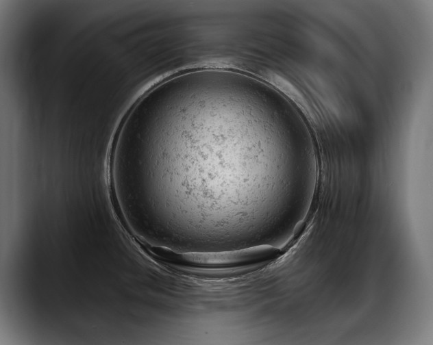 X0000088651436200705251452