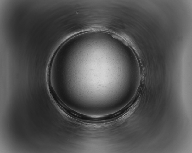 X0000088651438200705251452