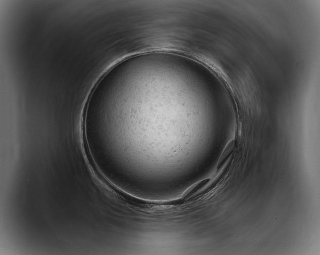 X0000088651439200705251452