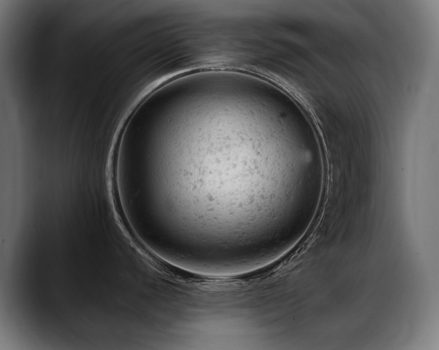 X0000088651440200705251452