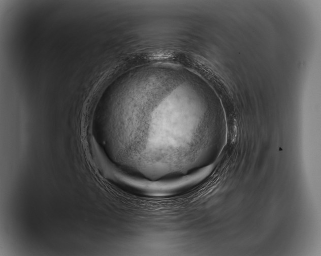 X0000088651441200705251452