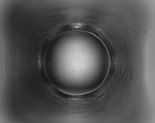 X0000088651442200705251452
