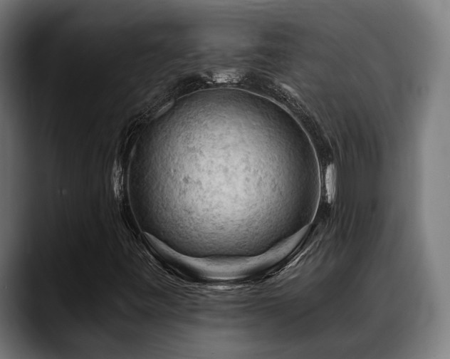 X0000088651443200705251452