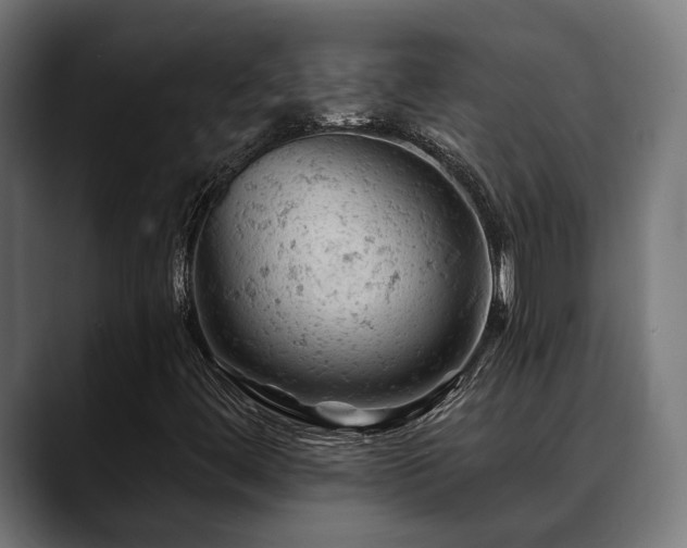 X0000088651444200705251452