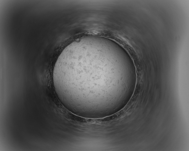 X0000088651446200705251451