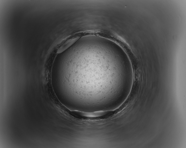 X0000088651448200705251451