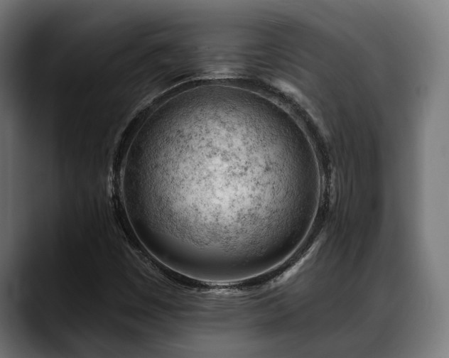 X0000088651449200705251451