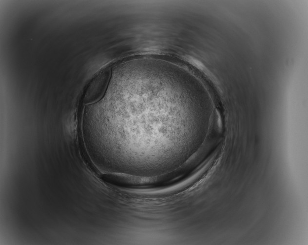 X0000088651450200705251451