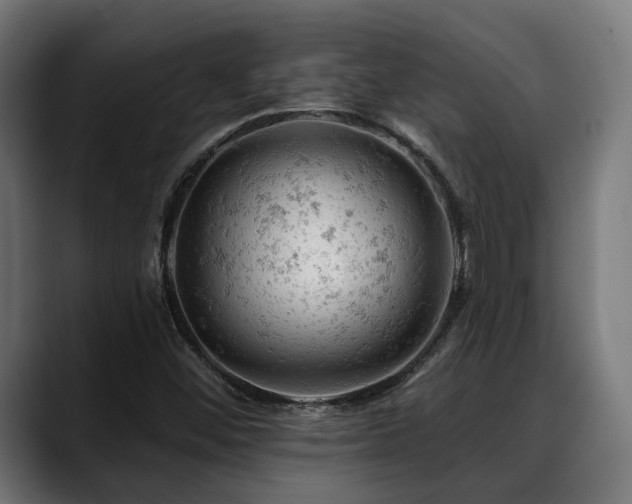 X0000088651452200705251451
