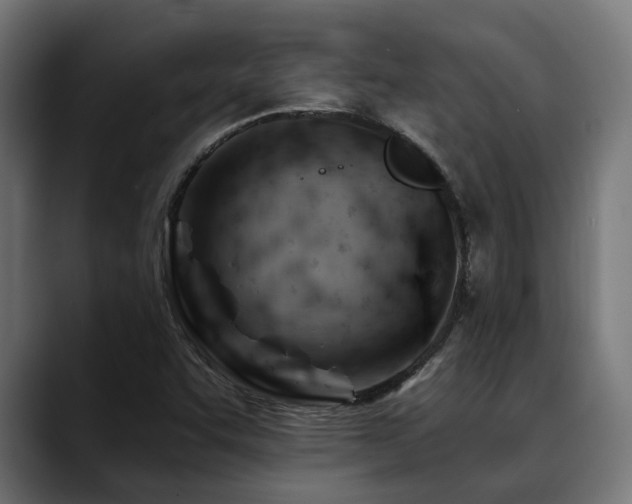 X0000088651455200705251451