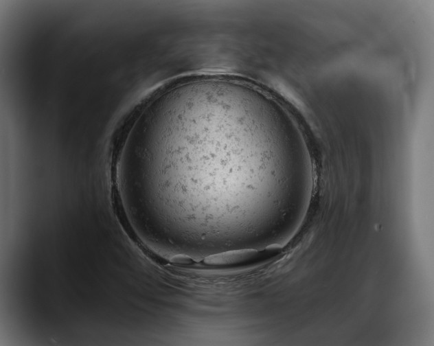X0000088651456200705251451
