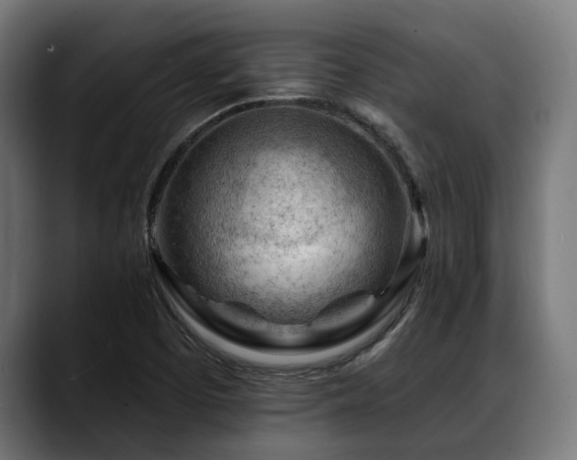 X0000088651457200705251451