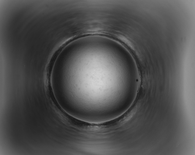X0000088651458200705251451