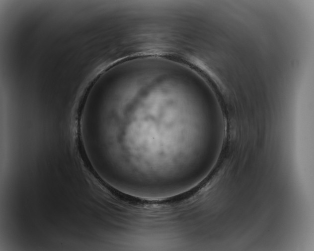 X0000088651459200705251451