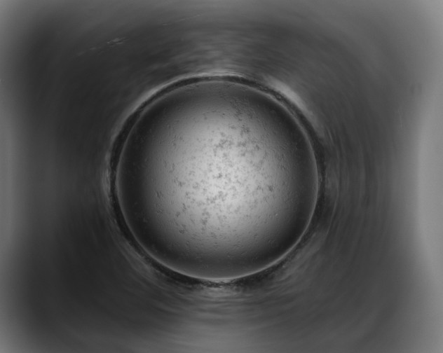 X0000088651460200705251451