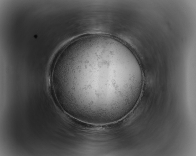 X0000088651462200705251451