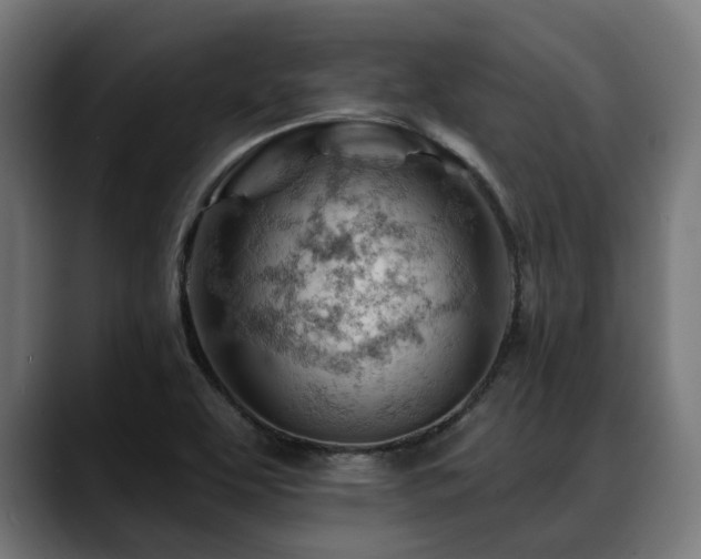 X0000088651463200705251451