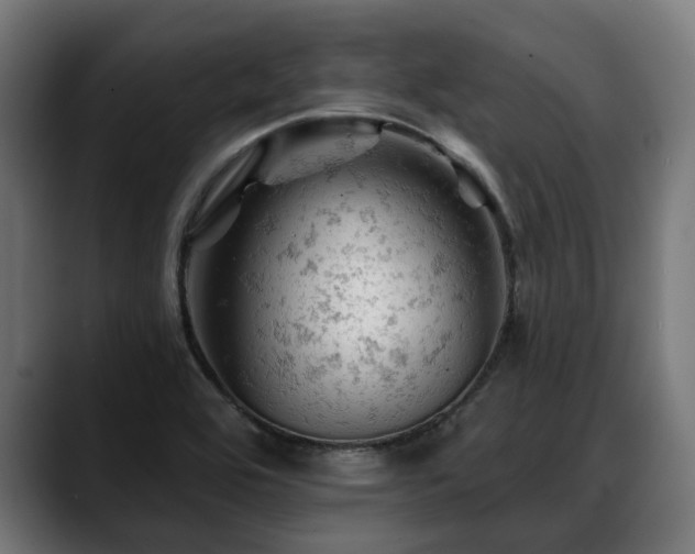 X0000088651464200705251451