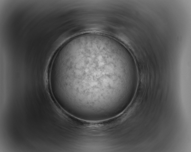 X0000088651466200705251451