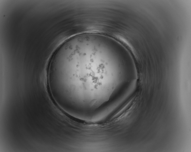 X0000088651467200705251451