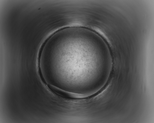 X0000088651469200705251451